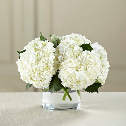 White Hydrangea Bouquet –  Citifloral, New York NY